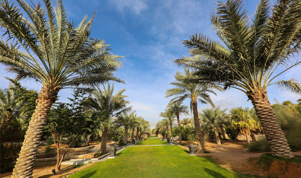 Al Ain Zoo contributes to sustainability efforts through extensive ...